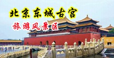 想操逼怎么操美女视频中国北京-东城古宫旅游风景区